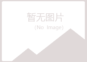 海南埋没音乐有限公司